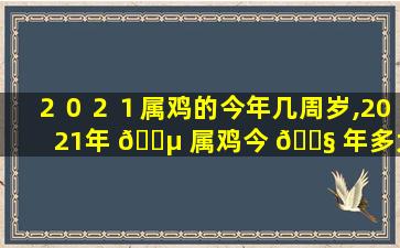 ２０２１属鸡的今年几周岁,2021年 🐵 属鸡今 🐧 年多大年龄了